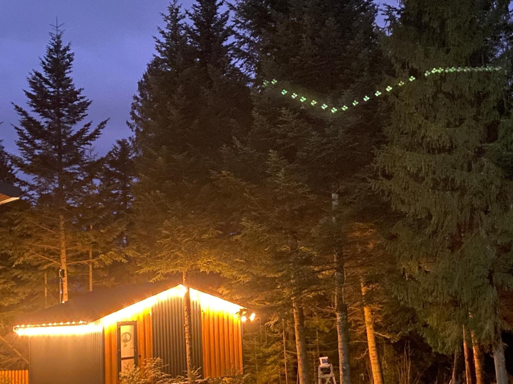 Феєрія Лісу Aparthotel Skhidnytsia Exterior photo