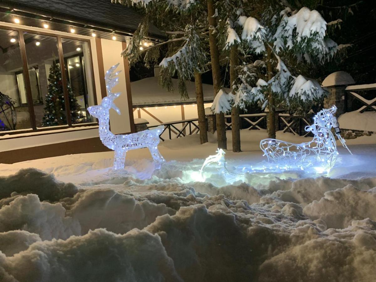 Феєрія Лісу Aparthotel Skhidnytsia Exterior photo